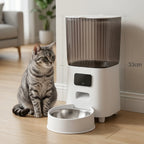 Taille de la gamelle automatique par rapport à la taille d'un chat